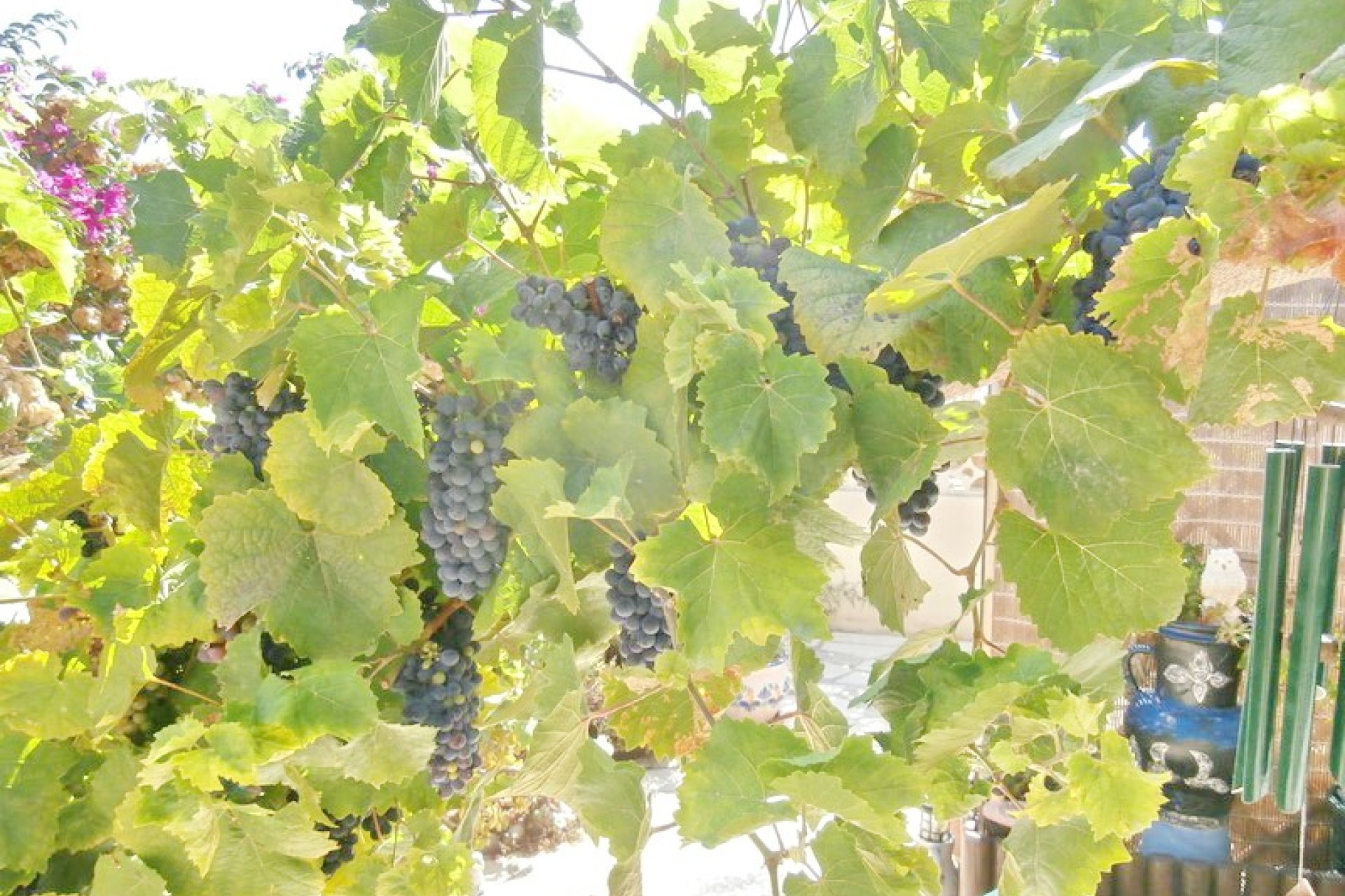 Verkoop - Villa - Moraira - Sabatera