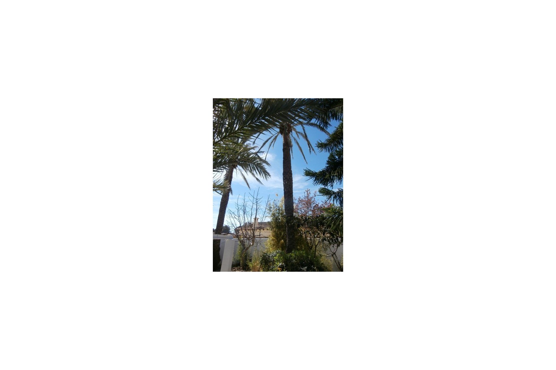 Verkoop - Villa - Moraira - Sabatera