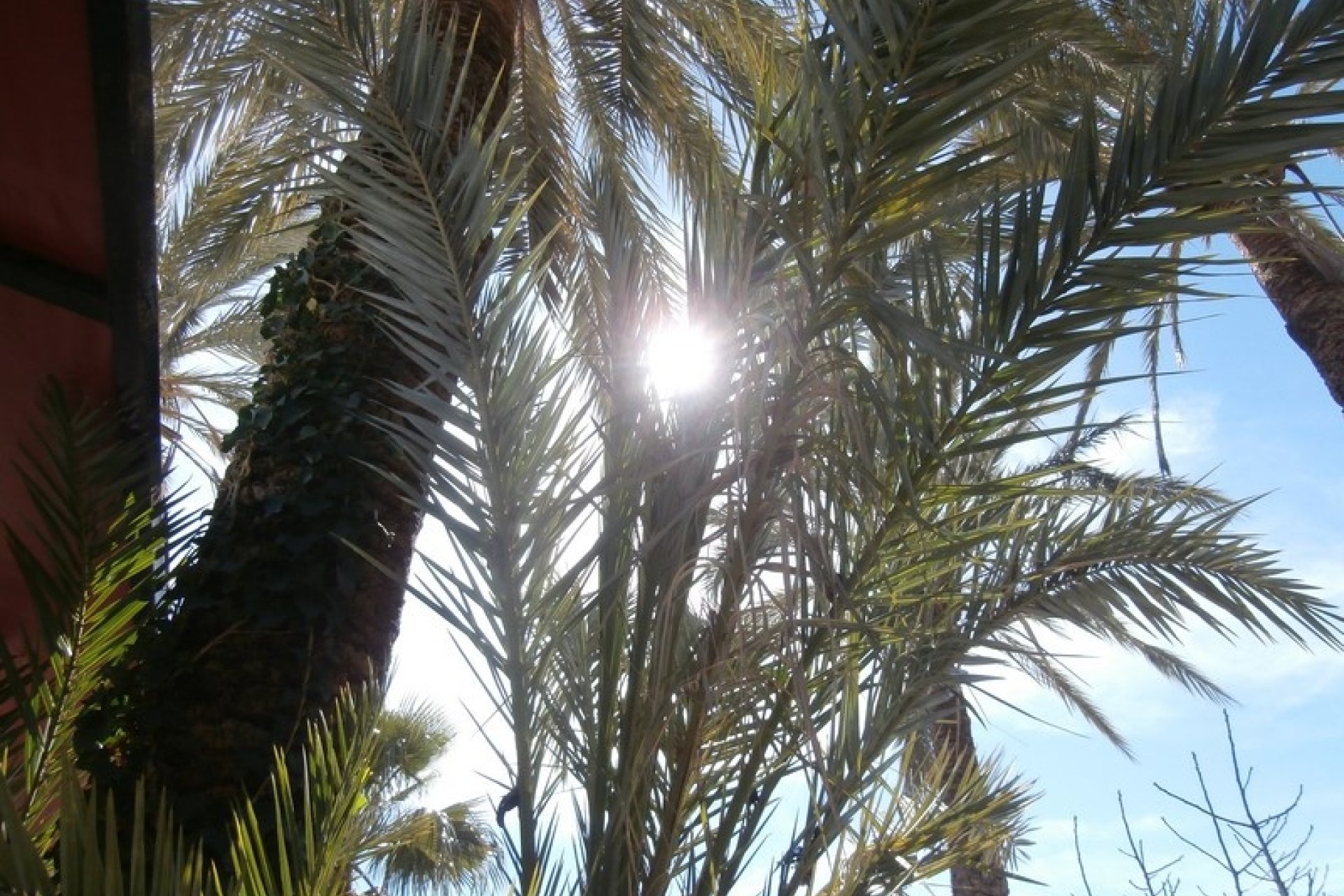 Verkoop - Villa - Moraira - Sabatera