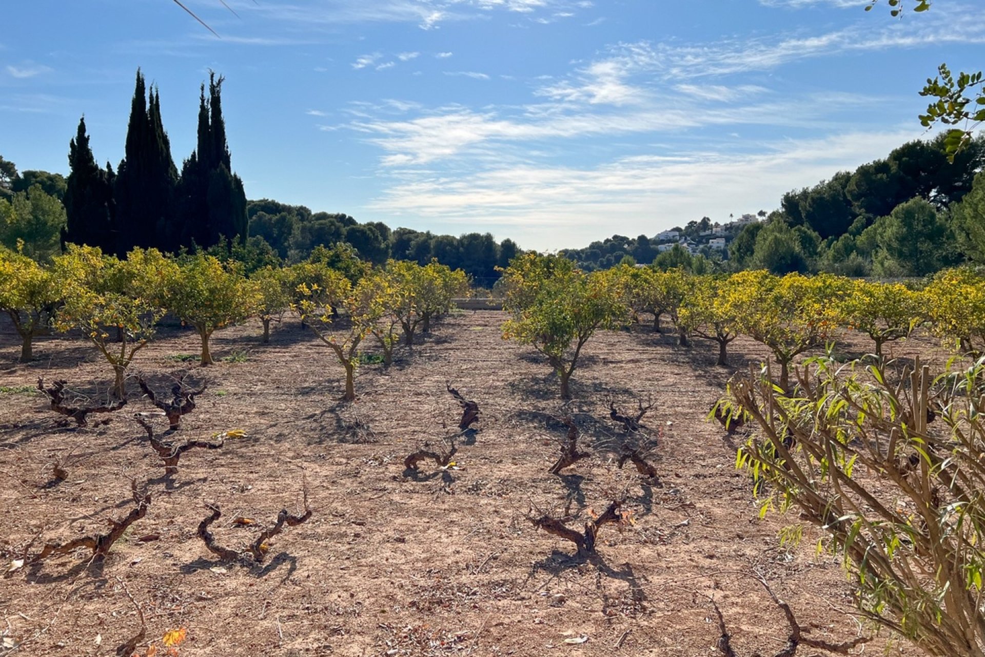 Verkoop - Villa - Moraira - Sabatera