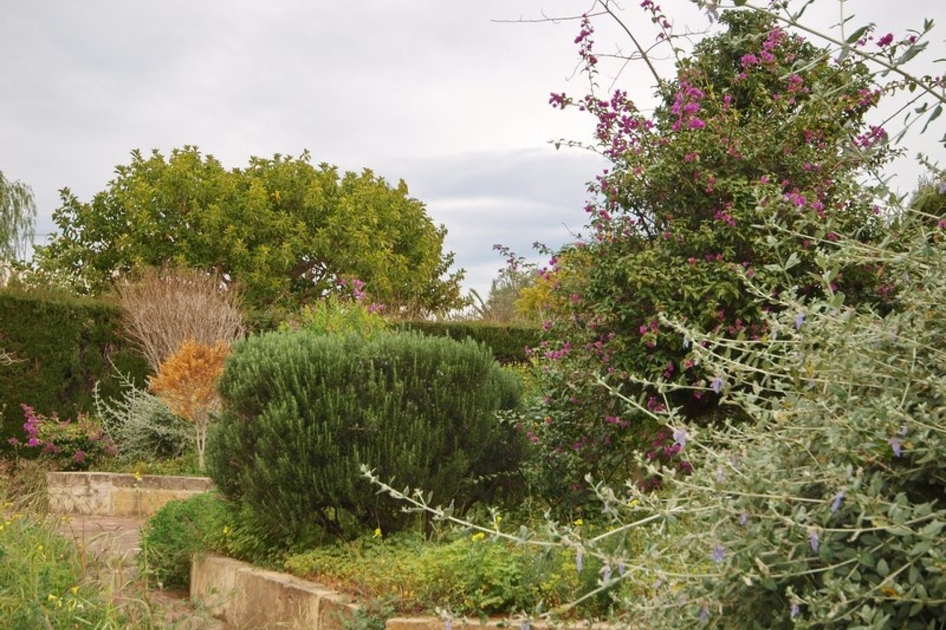 Verkoop - Villa - Moraira - Solpark