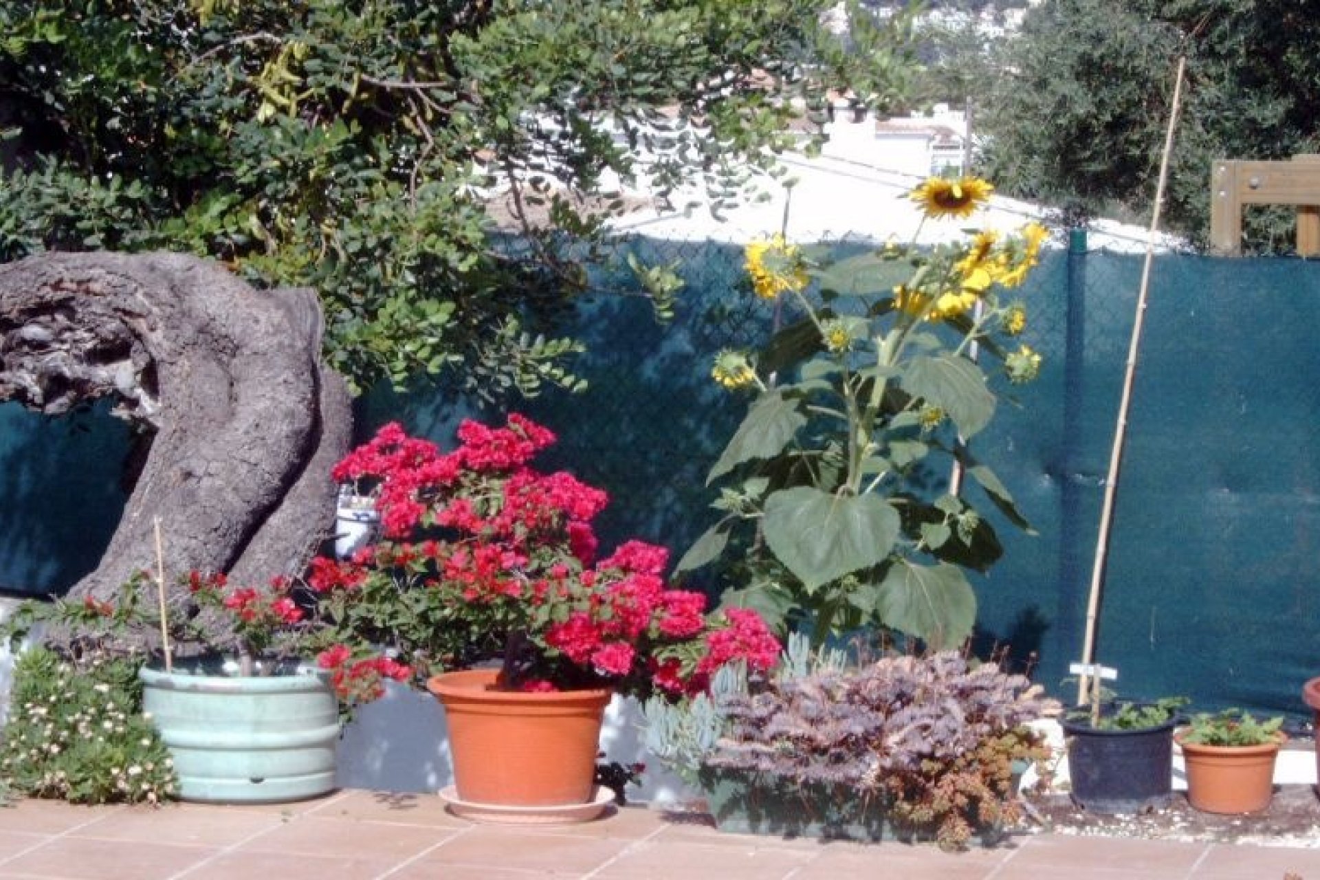 Verkoop - Villa - Moraira