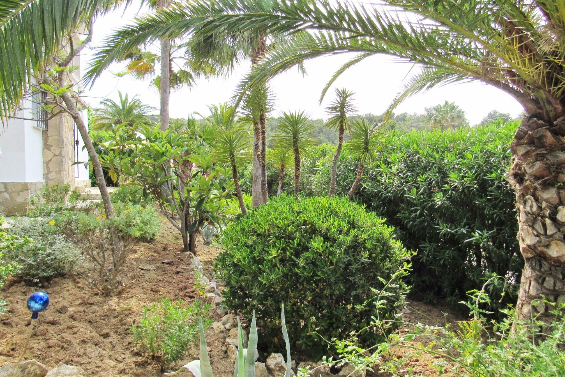 Verkoop - Villa - Moraira