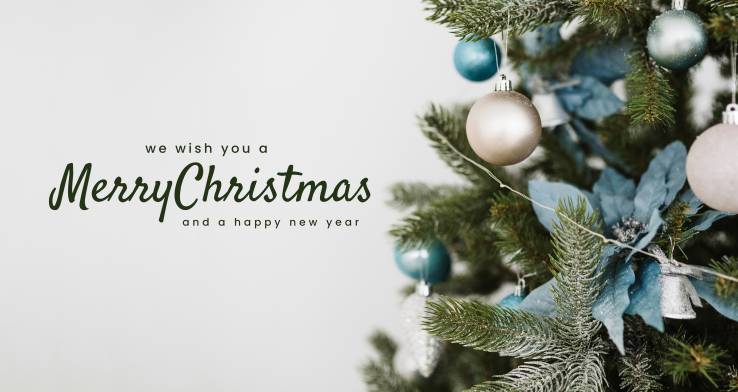The Tabaira team wishes you Happy Holidays!!