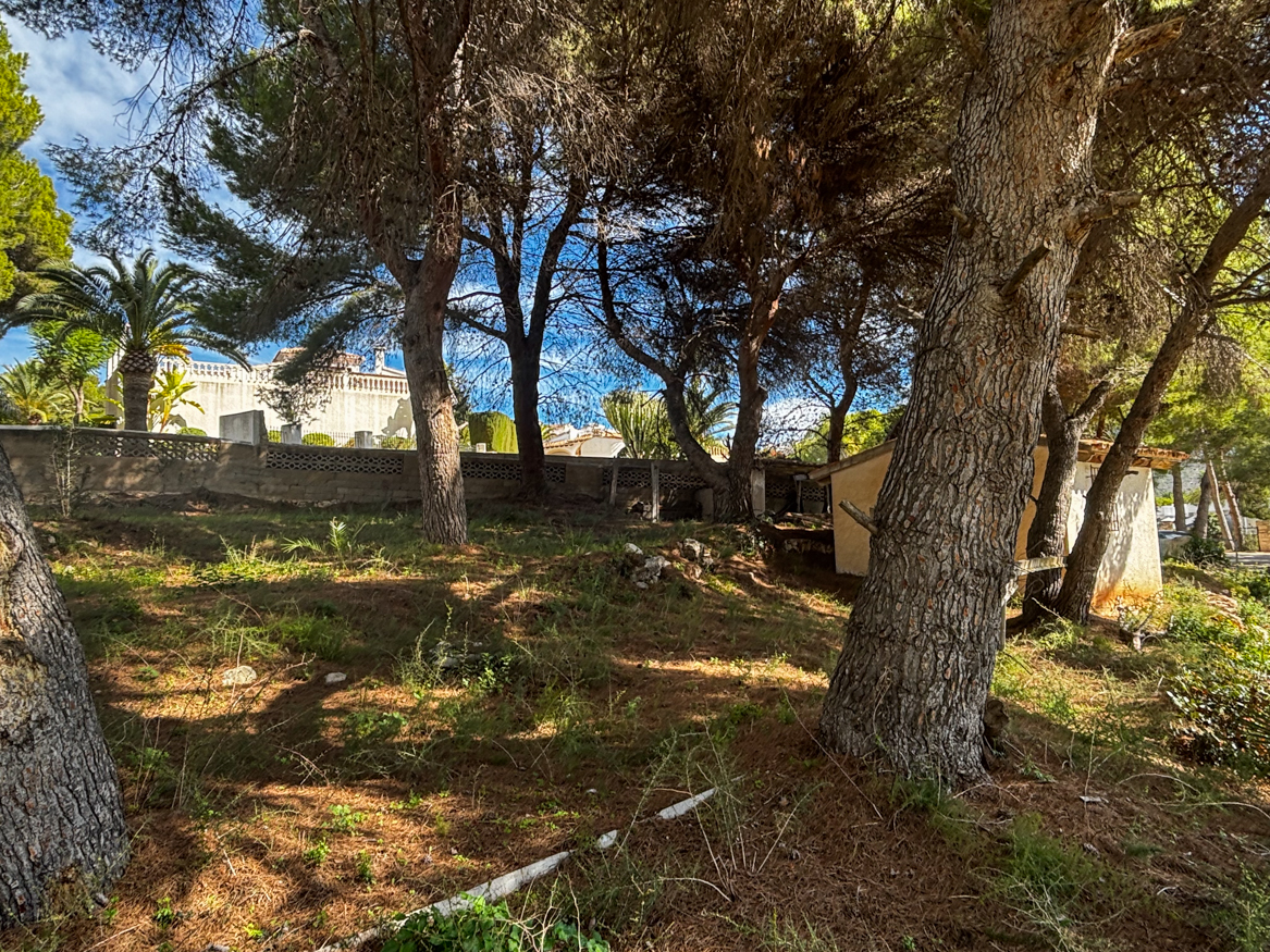 Land in Teulada - view 1