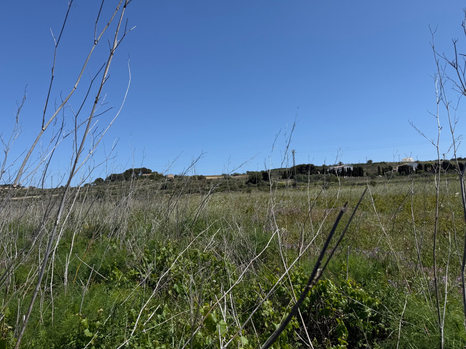 Parcela rústica en venta en Benissa zona Benissa