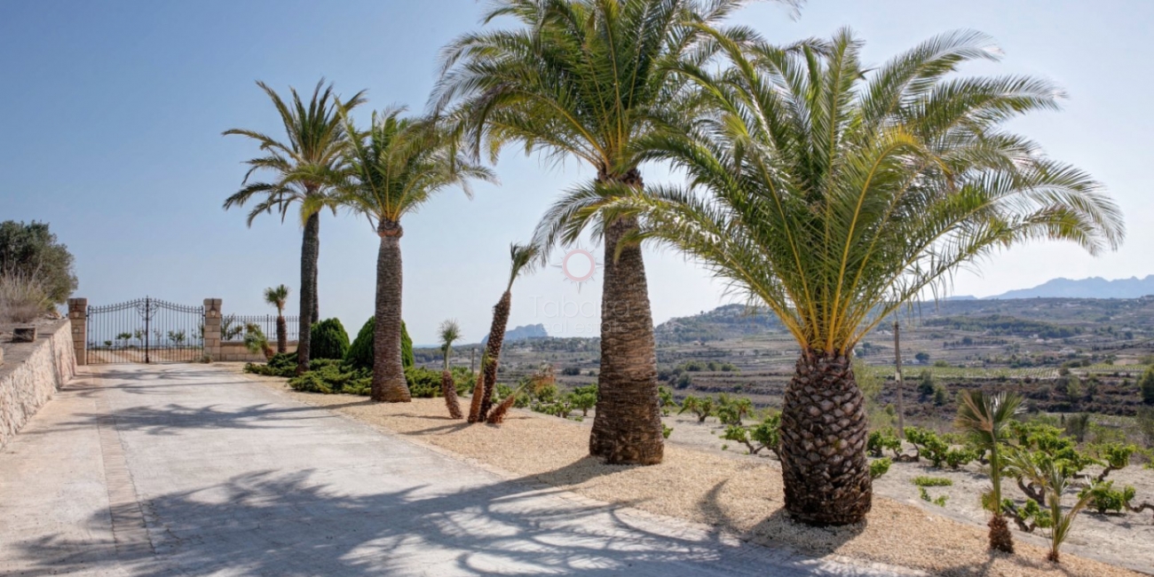 Finca - Country House » Villa » Moraira » Campo