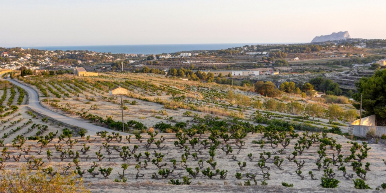 Finca - Country House » Villa » Moraira » Campo