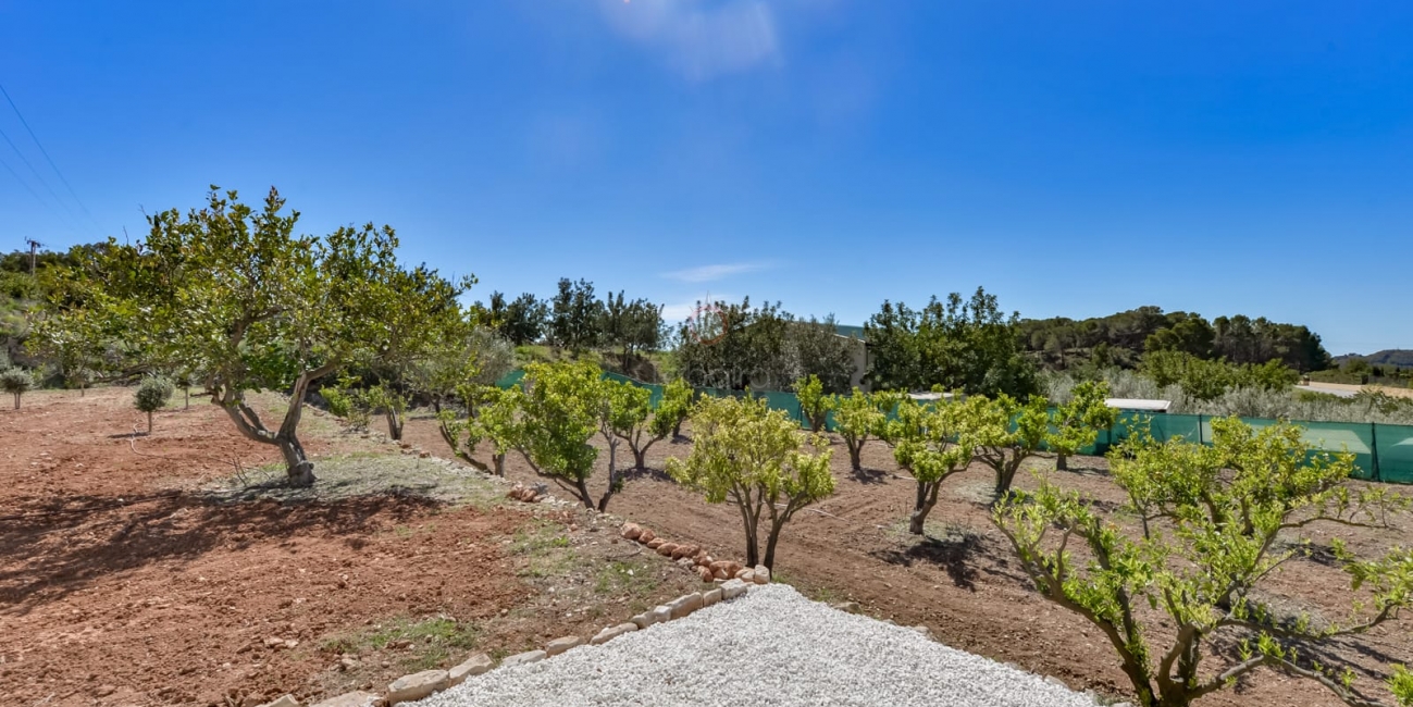 Rea » Villa » Altea » Altea