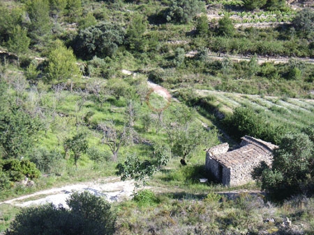 Venta &raquo; Parcelas &raquo; Llíber &raquo; Llíber