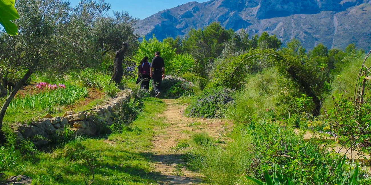 Venta &raquo; Parcelas &raquo; Llíber &raquo; Llíber