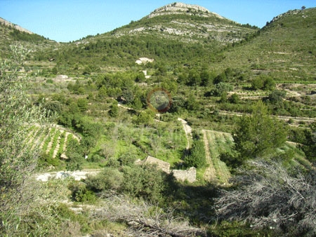 Venta &raquo; Parcelas &raquo; Llíber &raquo; Llíber