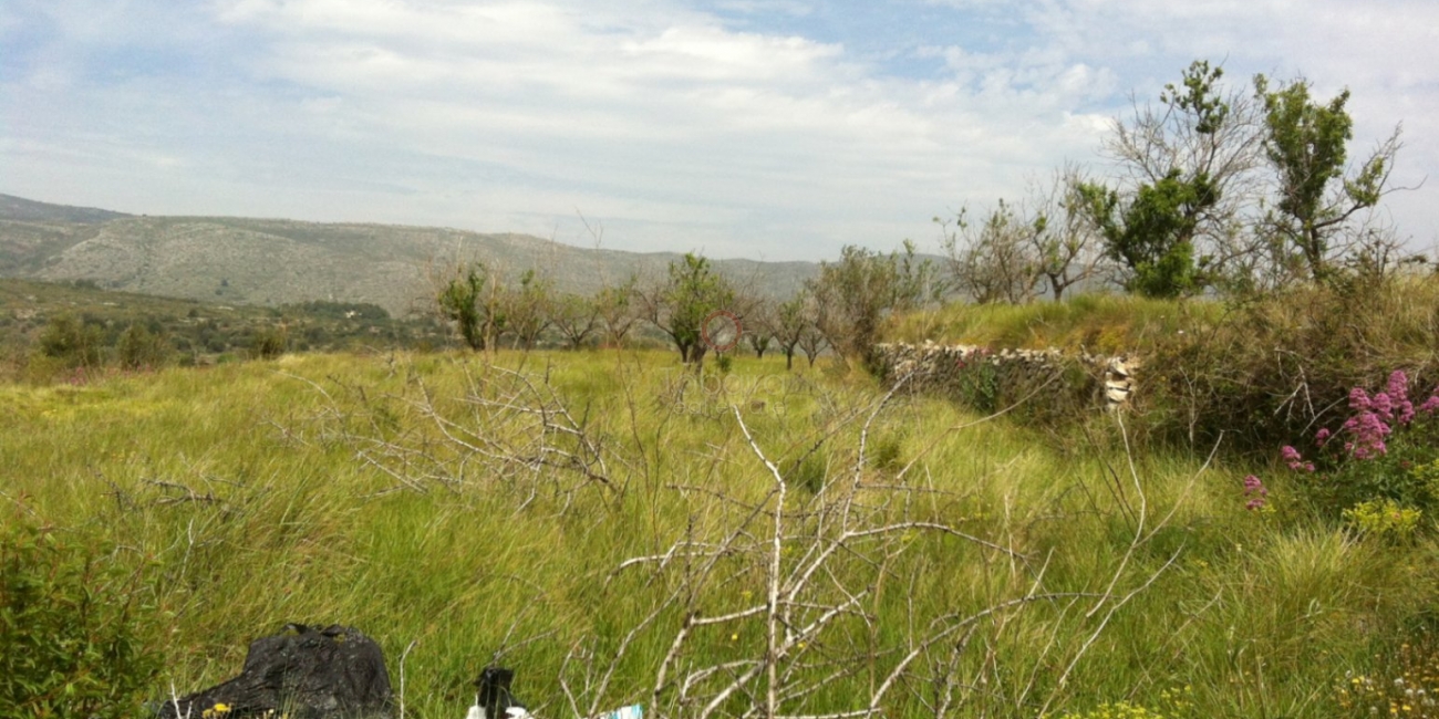 Sale &raquo; Plot &raquo; Benissa &raquo; Partida Berdica Blanca