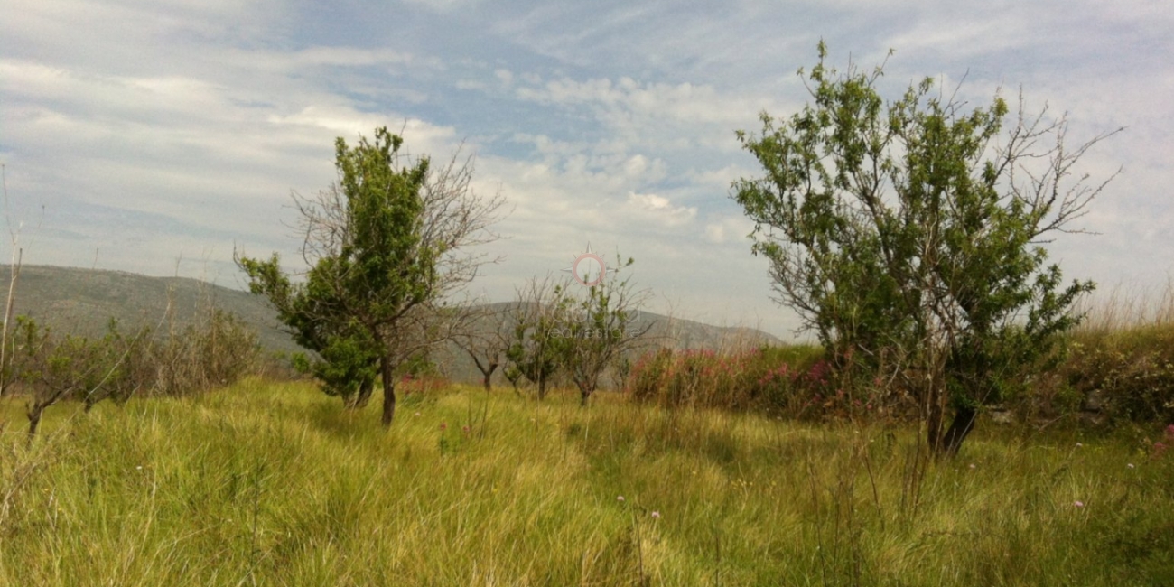 Sale &raquo; Plot &raquo; Benissa &raquo; Partida Berdica Blanca