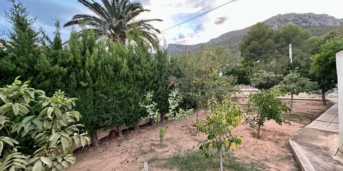 Sale &raquo; Villa &raquo; Calpe &raquo; Estación