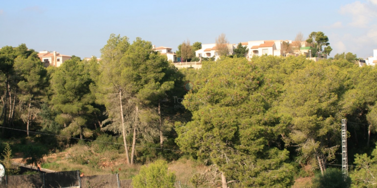Sale &raquo; Plot &raquo; Javea &raquo; Costa Nova