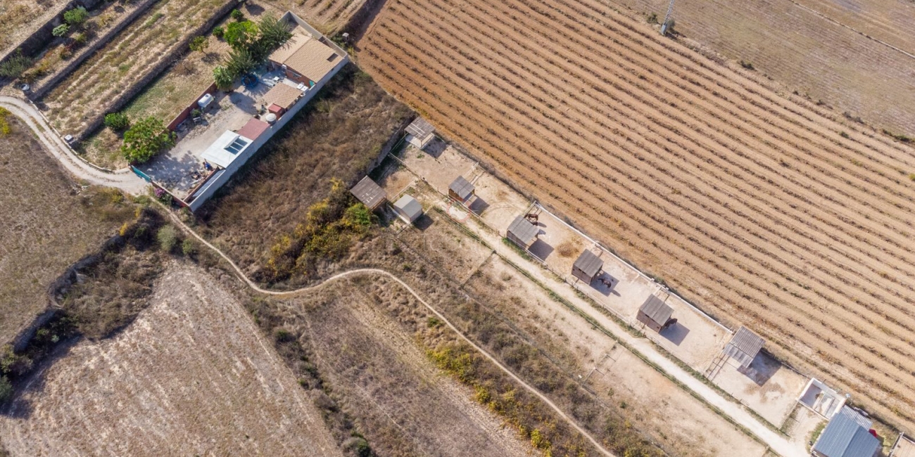 Finca - Maison de campagne » Villa » Teulada » Campo