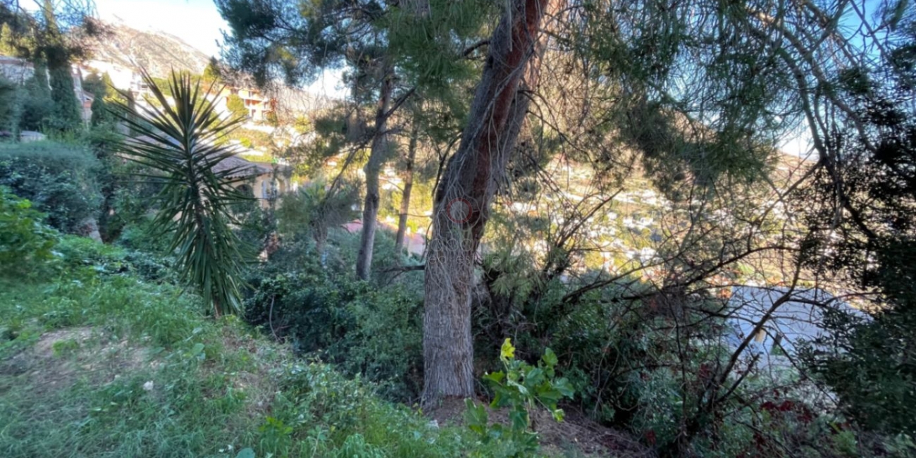 Sale &raquo; Plot &raquo; Calpe &raquo; Maryvilla