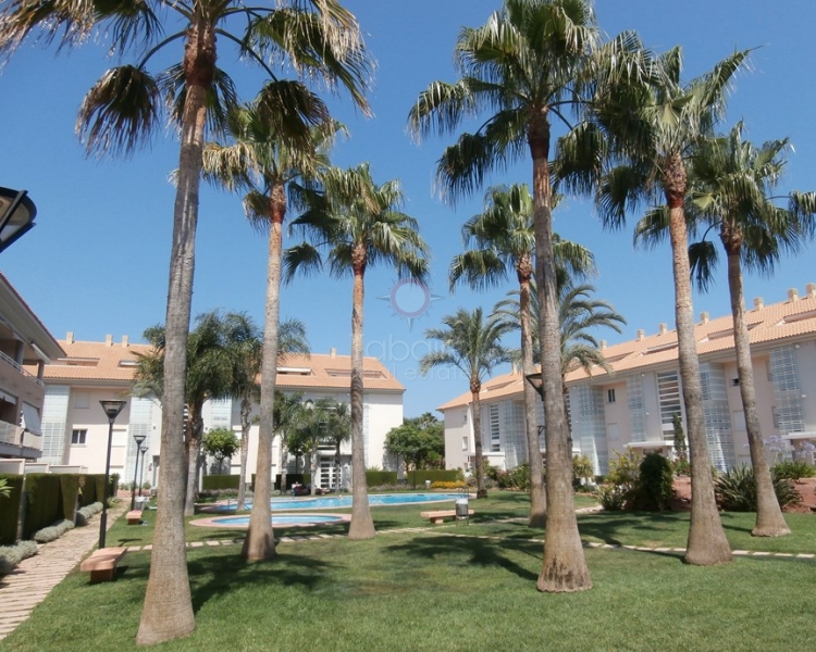 Apartment - Sale - Javea - Arenal