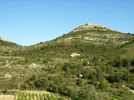 Venta &raquo; Parcelas &raquo; Llíber &raquo; Llíber