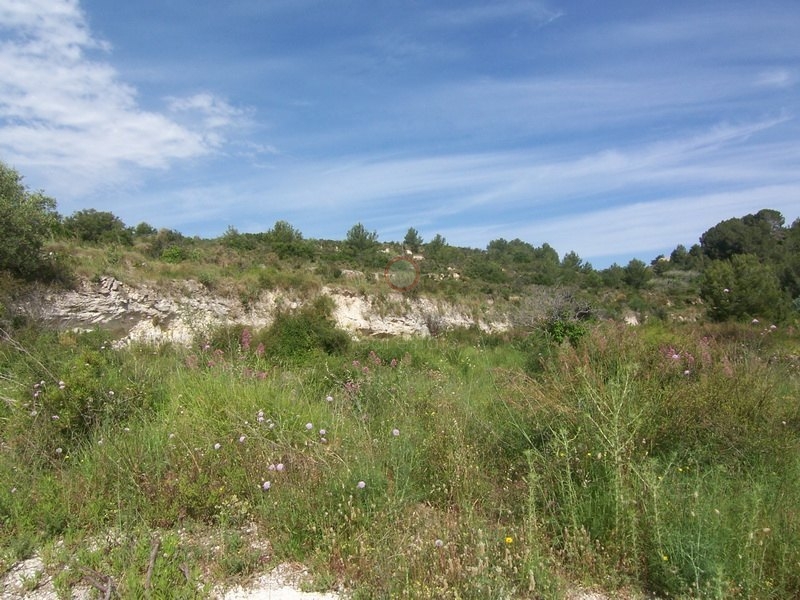 Sale &raquo; Plot &raquo; Teulada &raquo; Partida Churra