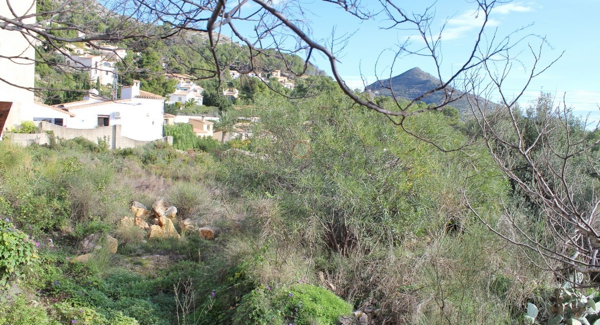 продажа &raquo; Plot &raquo; Alcalalí &raquo; Alcalalí