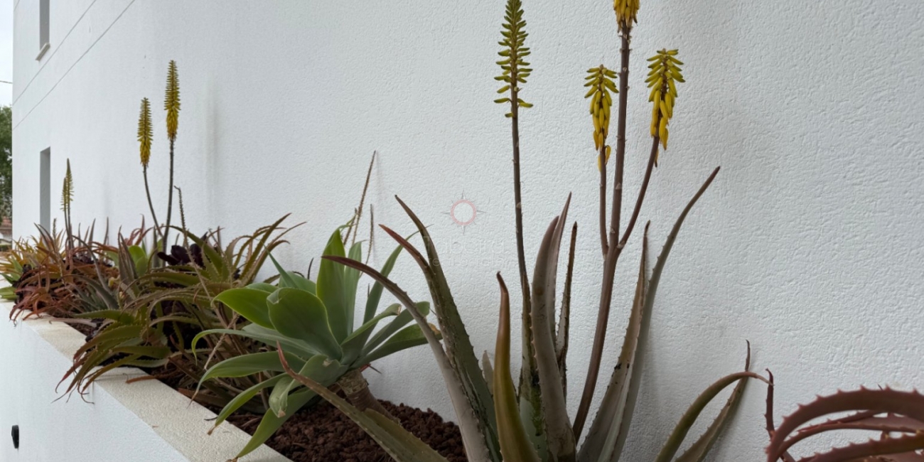 Sale » Apartment » Denia » Les Marines