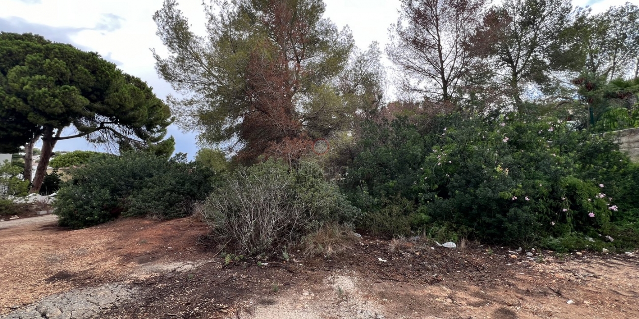 Vente » Terrain » Moraira » El Portet