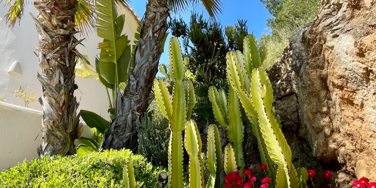 Sale » Villa » Jalón » Jalón