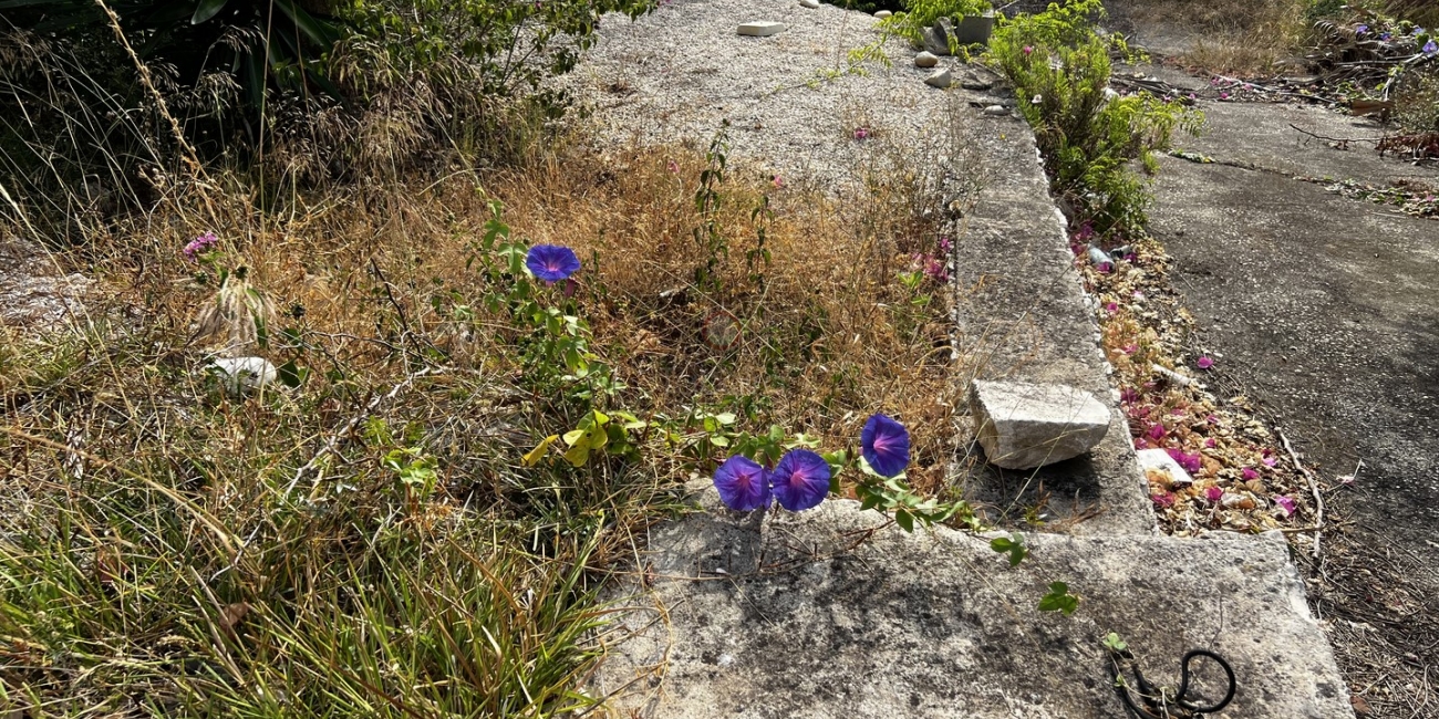 Sale » Villa » Benissa » Benissa Costa