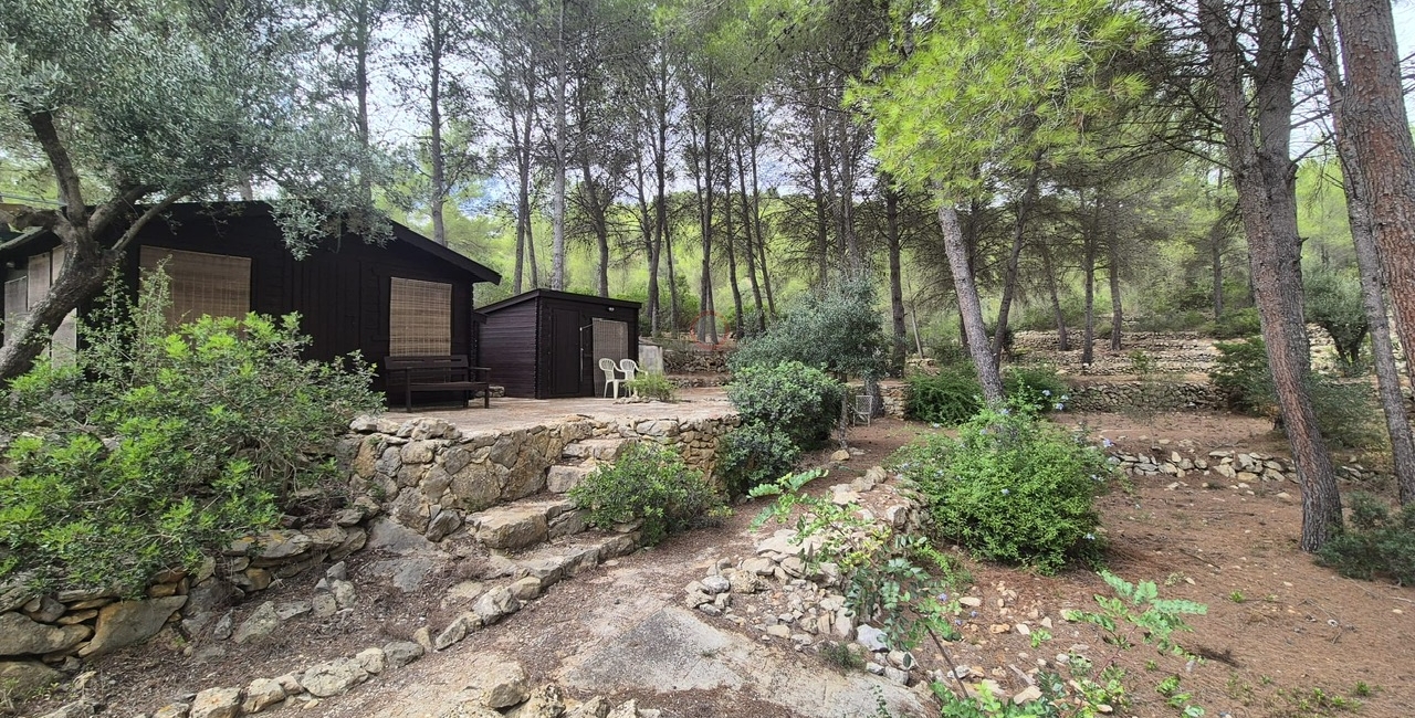 Sale &raquo; Villa &raquo; Llíber &raquo; Llíber