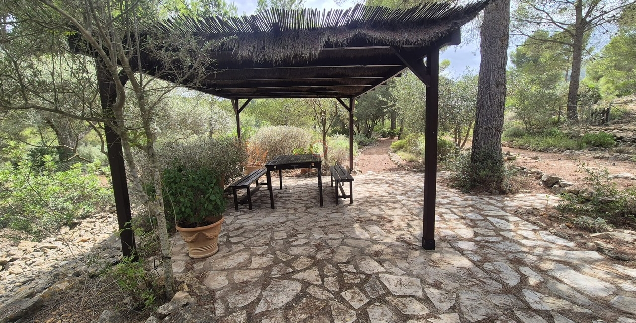 Sale &raquo; Villa &raquo; Llíber &raquo; Llíber