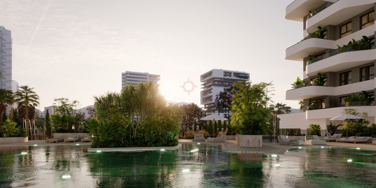 Sale &raquo; Apartment &raquo; Calpe &raquo; Playa Arenal Bol