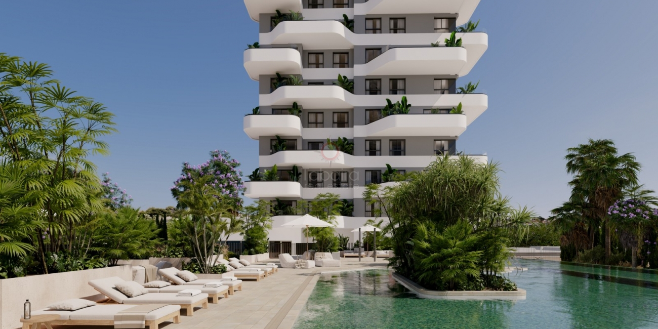 Sale &raquo; Apartment &raquo; Calpe &raquo; Playa Arenal Bol