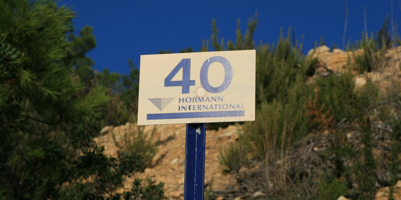 Sale &raquo; Plot &raquo; Javea &raquo; Tosalet